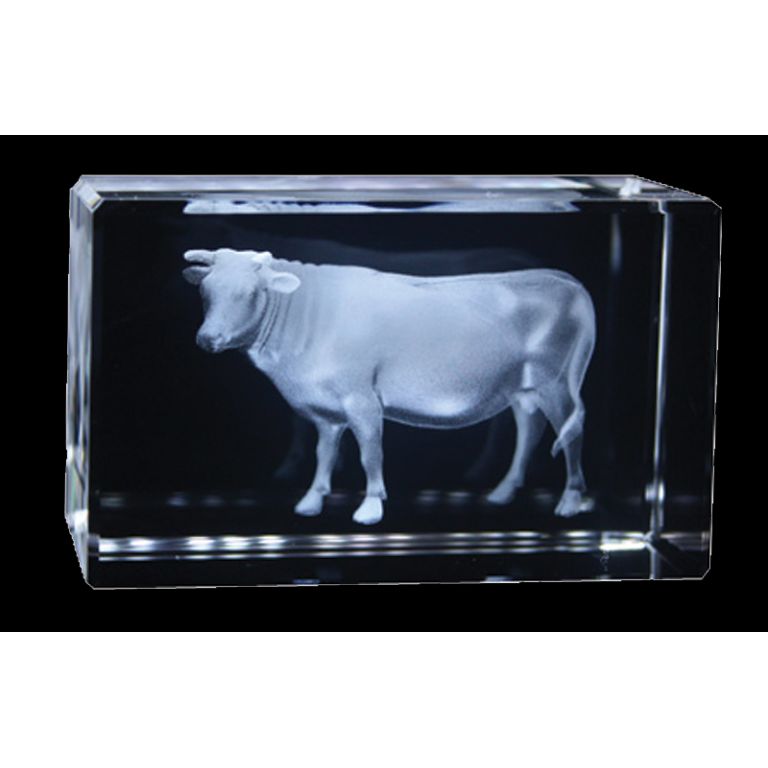 Ox Zodiac